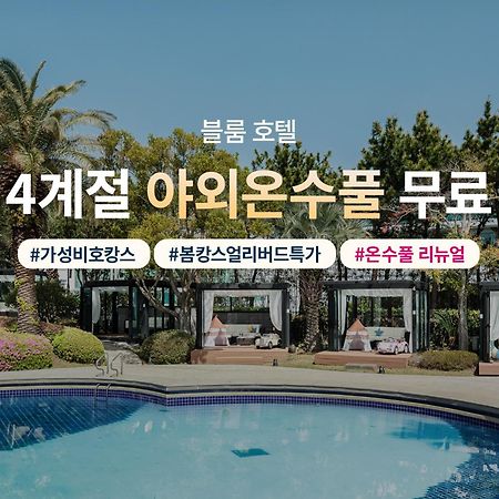 Bloom Hotel Jeju Ngoại thất bức ảnh